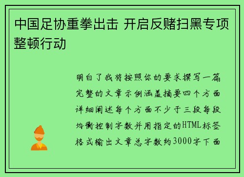 中国足协重拳出击 开启反赌扫黑专项整顿行动